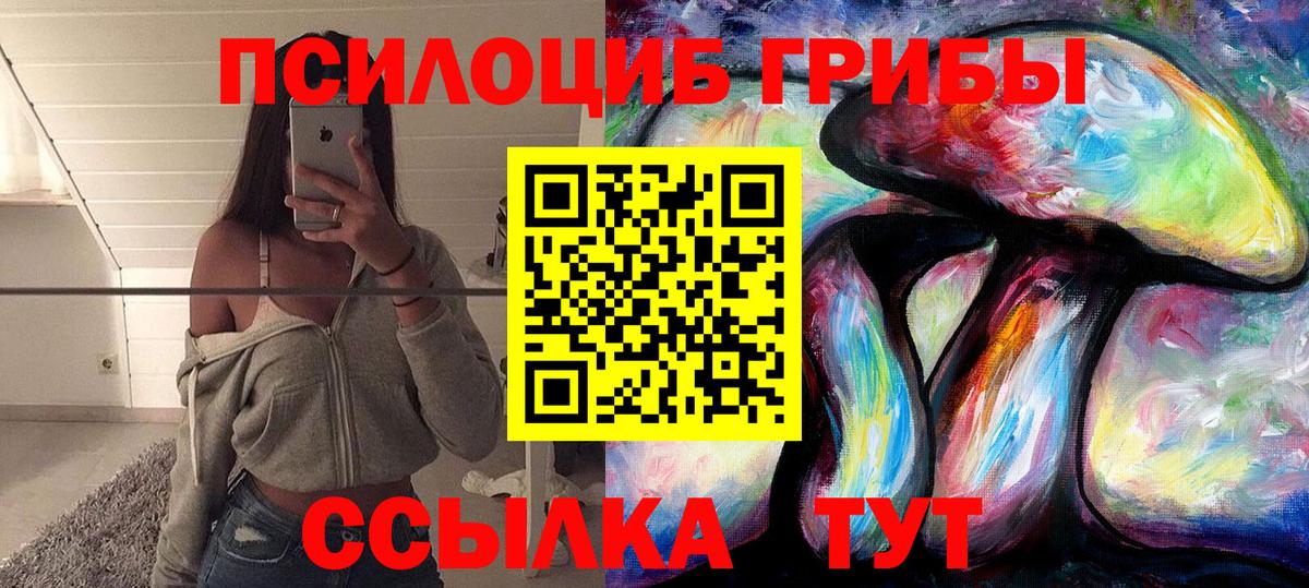 Владимир  Псилоцибиновые грибы Magic Shrooms  Вход с VPN 